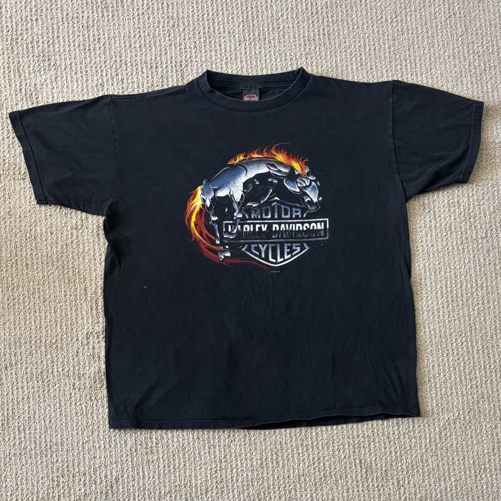 Harley-Davidson Graphic Tee Sz XL